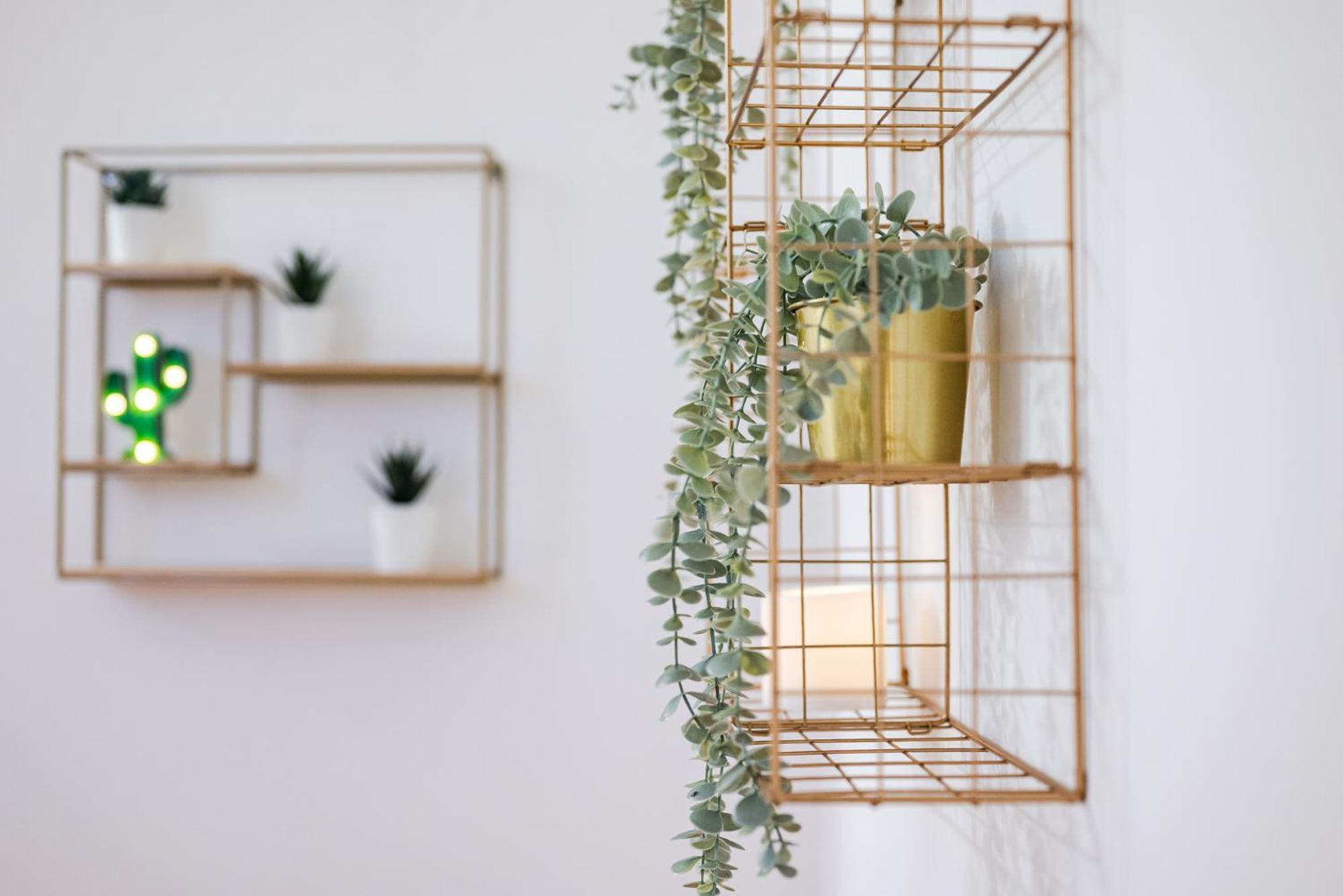 The White Jungle - San Babila Attic Apartment Milan Bagian luar foto